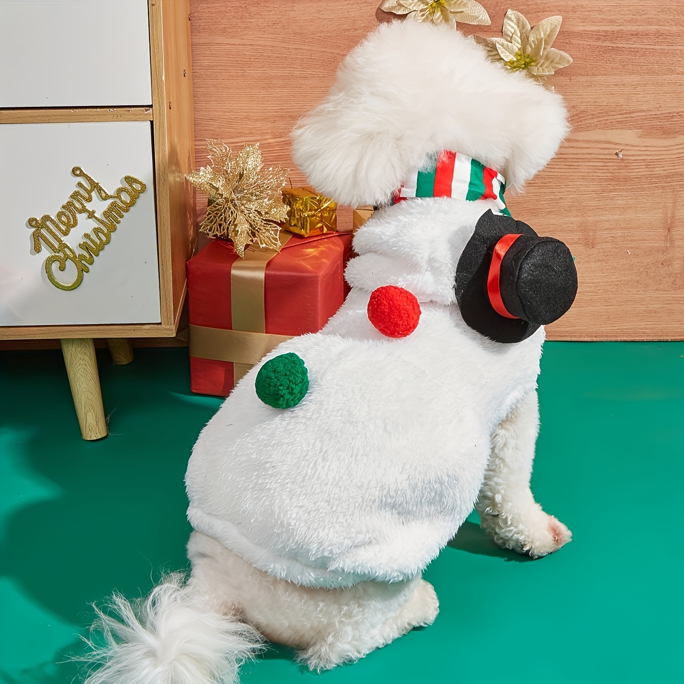 Snowman outfit best sale for dogs