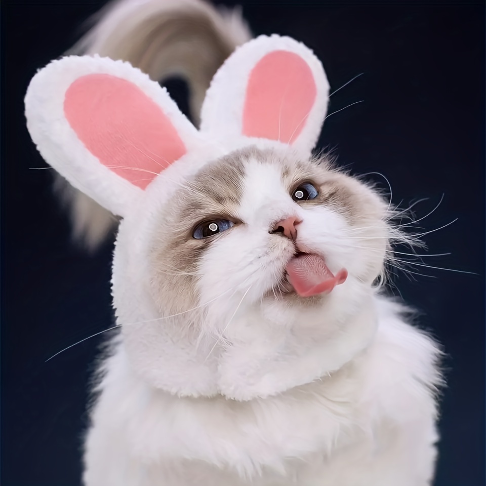 Lapin Chapeau - Peluche Chapeau De Lapin - Bunny Casquette - Cute