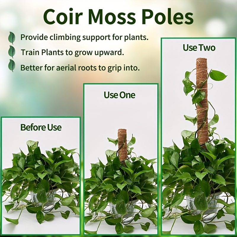 Moss Pole For Plants Plant Support Poles Indoor Potted Plant