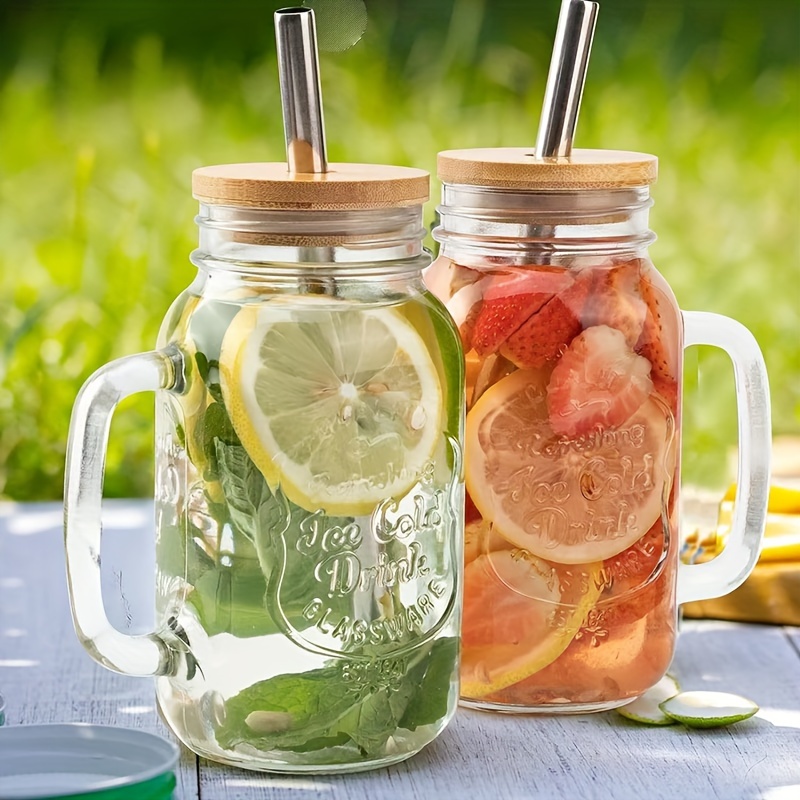 Drinking Mug Glass Mugs with Handle for Infusion Lemonade