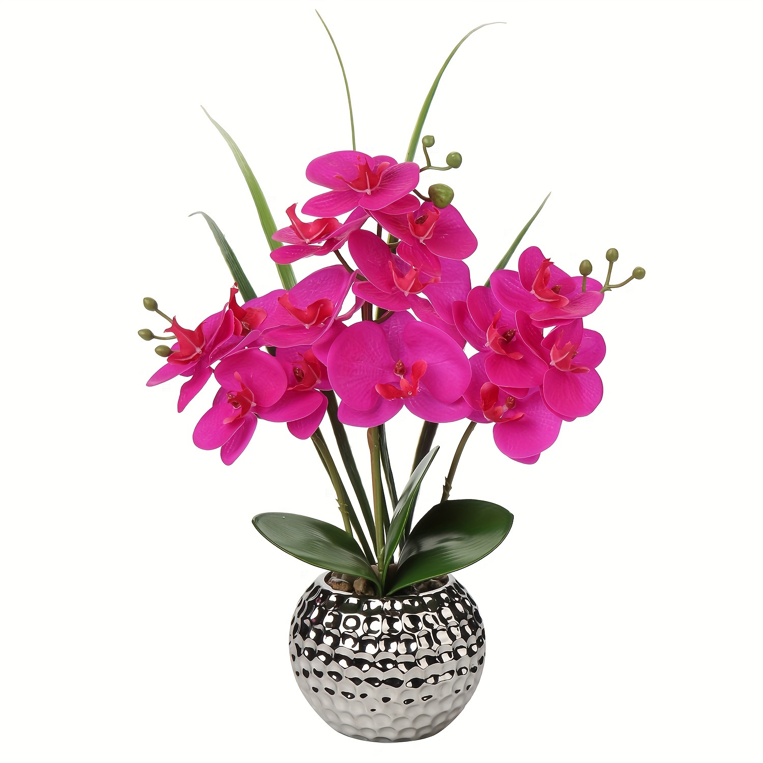 5 Pezzi Vaso Trasparente Orchidee Fori Rinvaso 5 Piatti In Plastica Piante  Orchidee Interne, 5,5 Pollici, Acquista Ultime Tendenze
