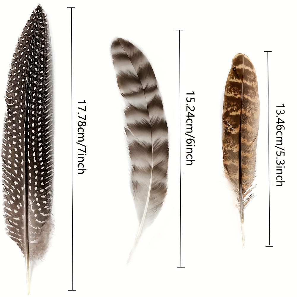 Natural Turkey Spotted Feathers Craft Feathers Pheasant For - Temu