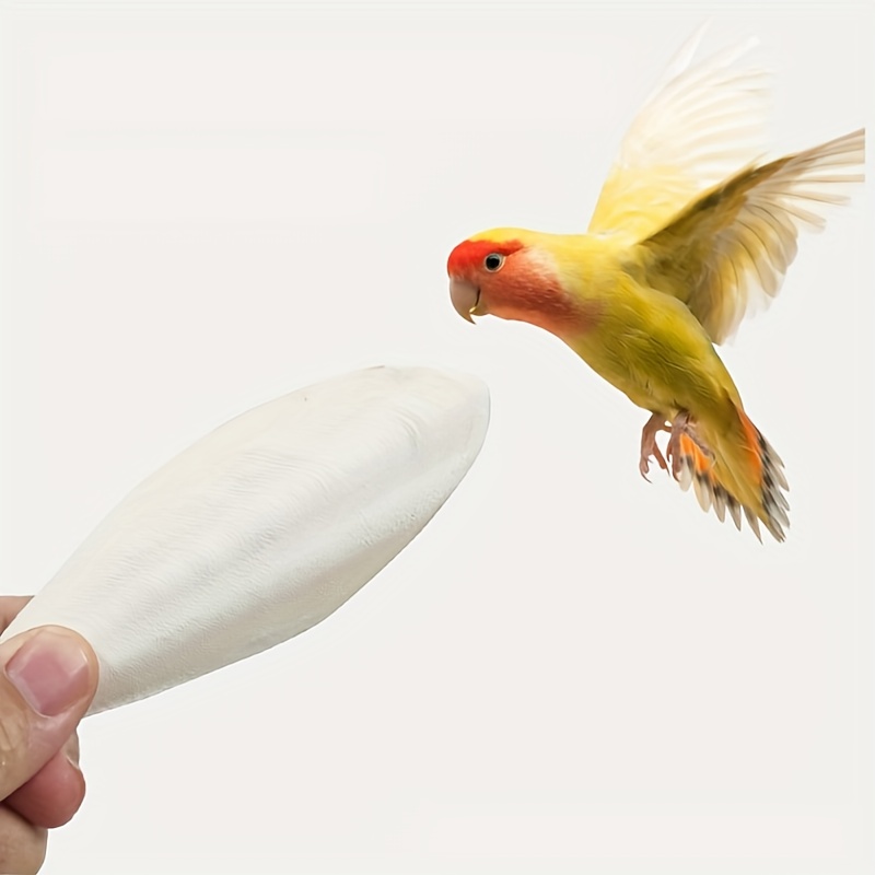 

1pc Cuttlebone Chew Toy Bird Toy, Pet Food Calcium Supplement Cuttlebone Bird Teething Molar Snacks Parrot Snack Toy