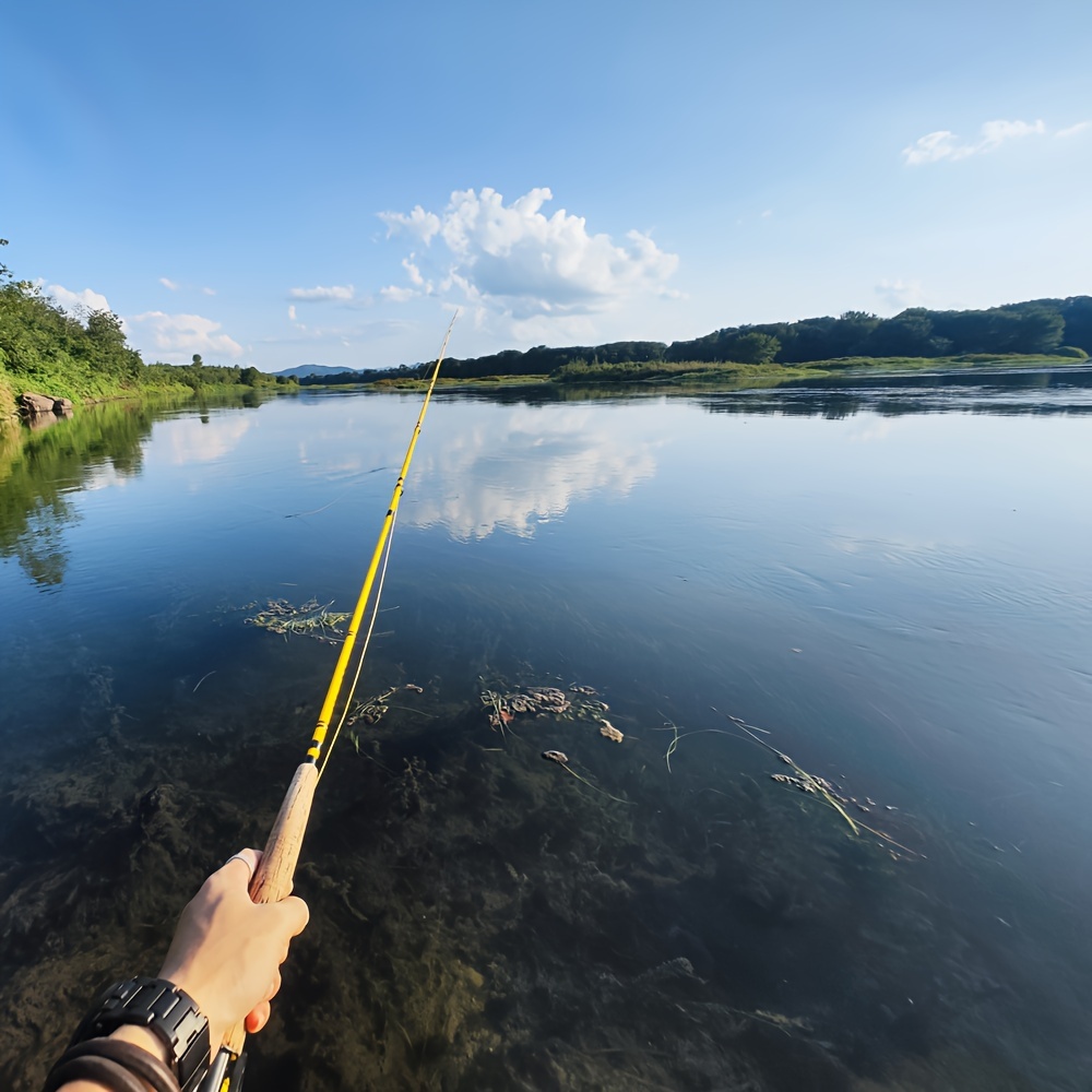 Blue Lines Fly Fishing— Hackle