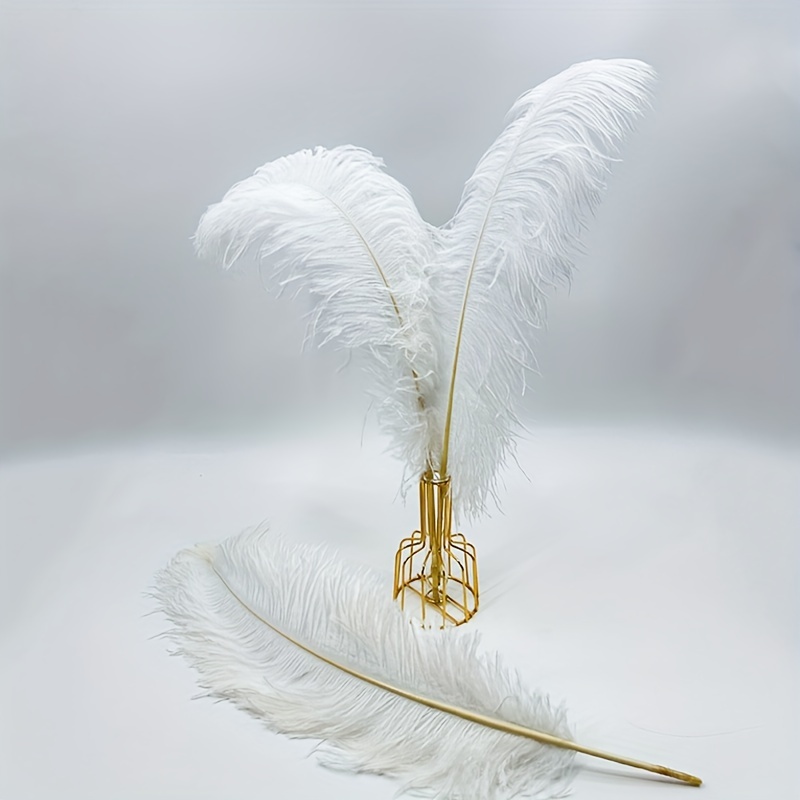 White Ostrich Feathers Accessories For Pre wedding - Temu