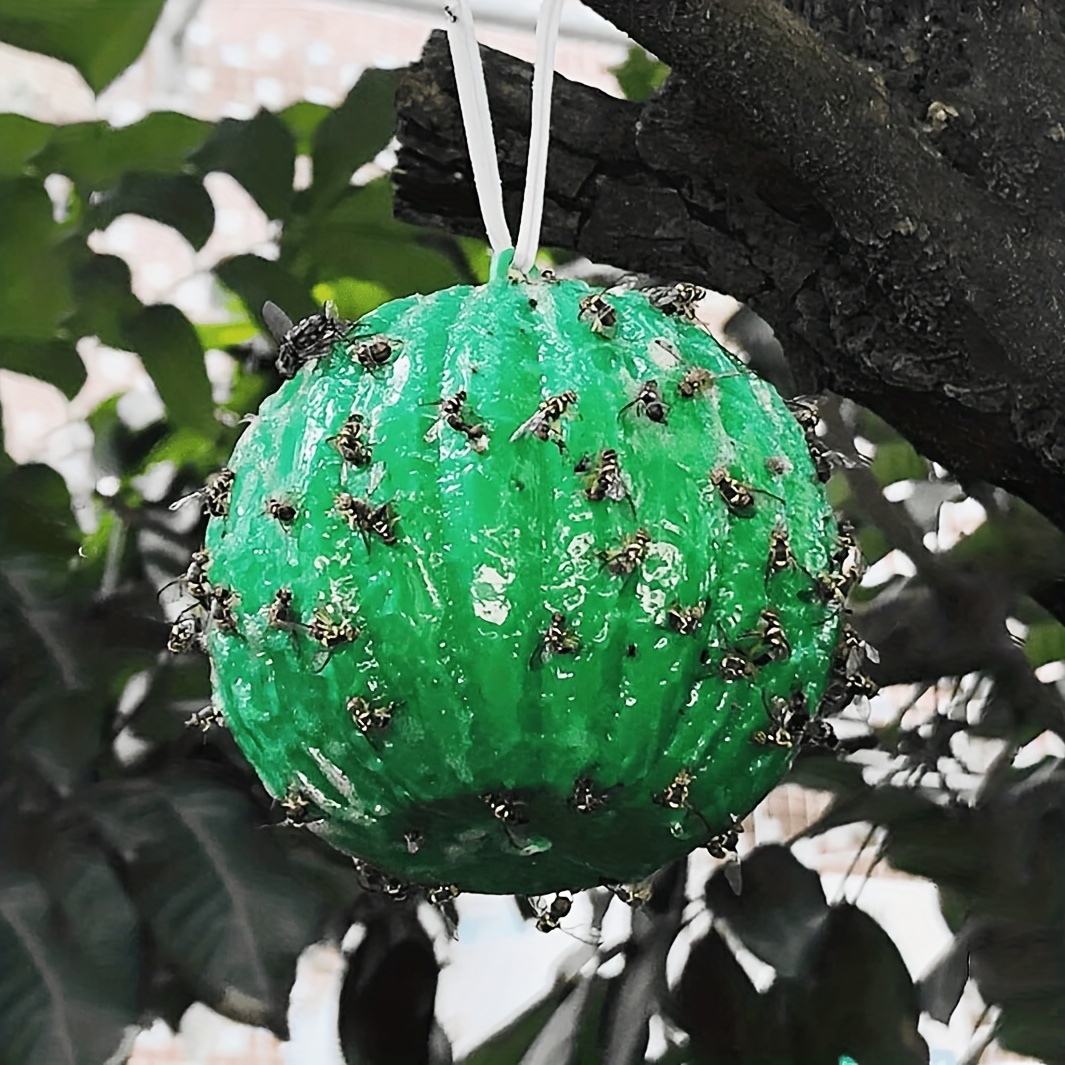 Pumpkin Shape Small Insect Trap Flying Bug Trap Ball, Fruit Fly Traps  Sticky Traps For Indoor Outdoor House Kitchen Plants Trees Flying Bugs -  Temu