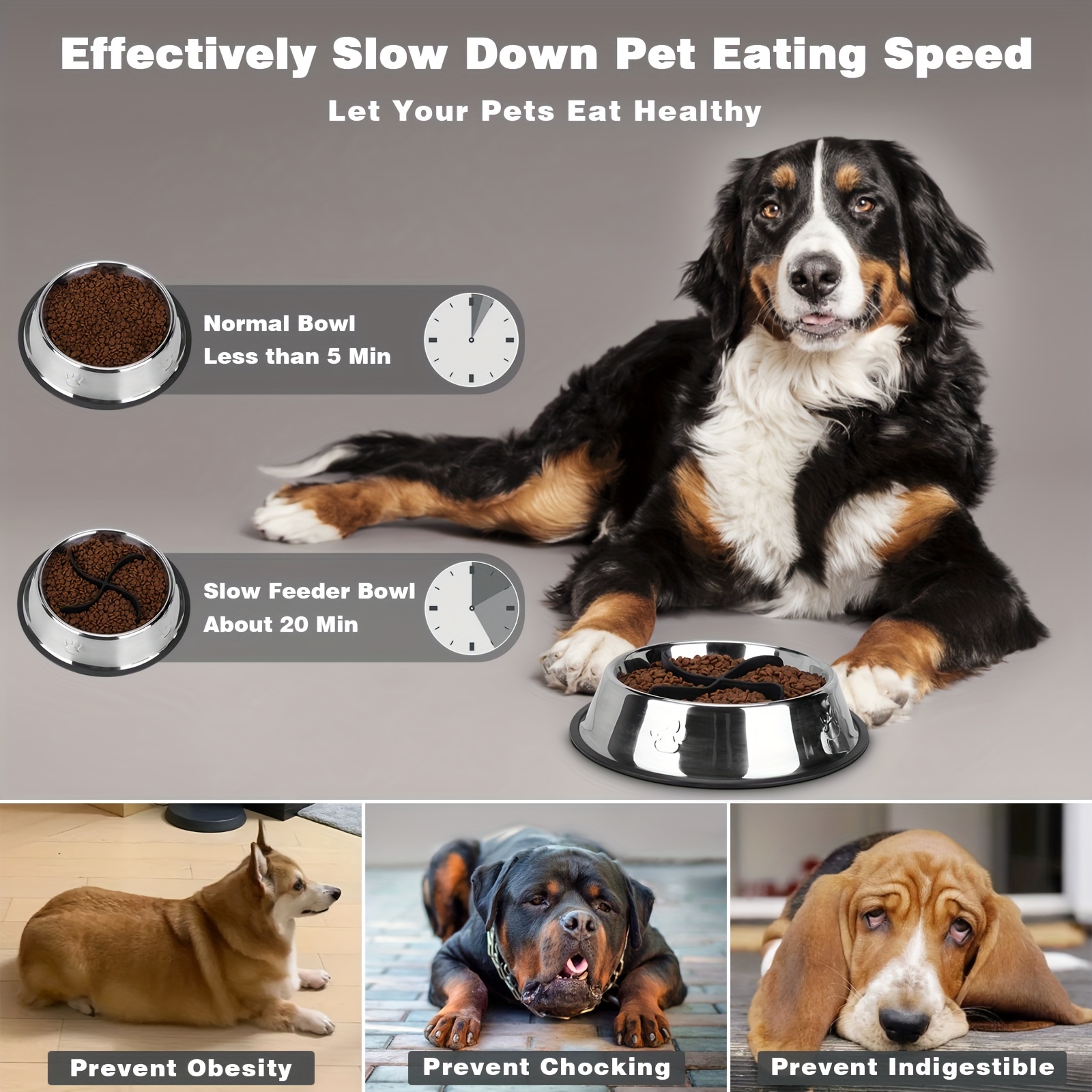 Lento Slow Feeding Insert for Dogs