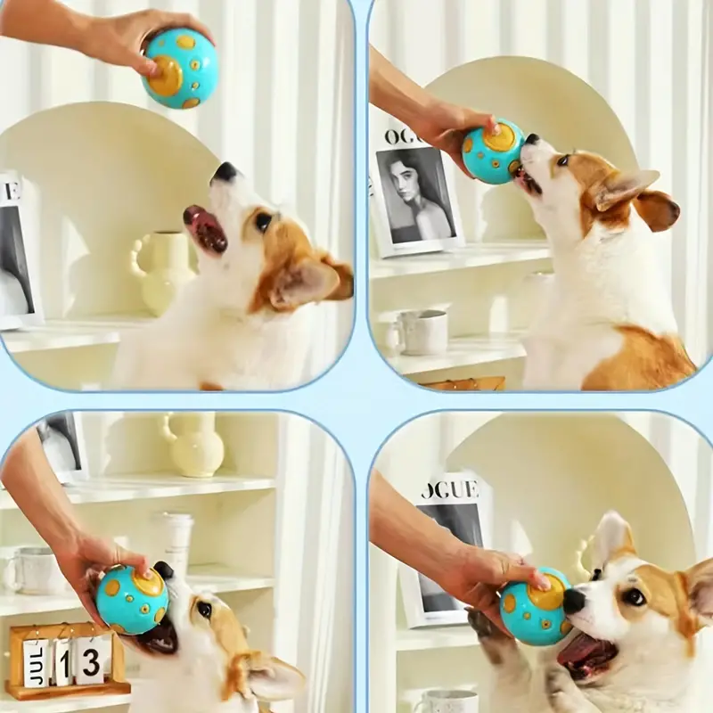 Moon Ball Sounding Dog Toys Interactive