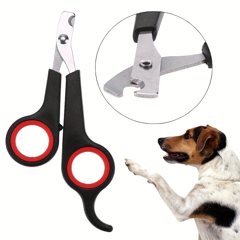 Multifunctional Dog Nail Scratch Pad Dog Nail Grinder - Temu