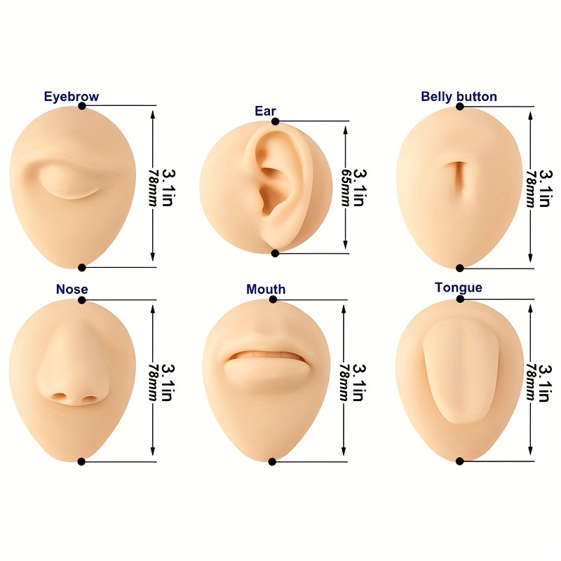 Flexible Silicone Model for Practice and Display