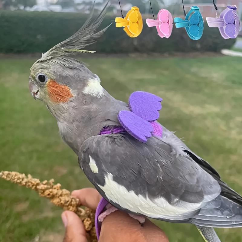 Bird Harness, Pet Parrot Bird Harness and Leash Flying Rope Straps Outdoor  Bird Flying Harness Training Traction Rope for Budgerigar Cockatiel Small