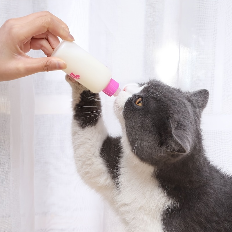 Cat bottle clearance feeder