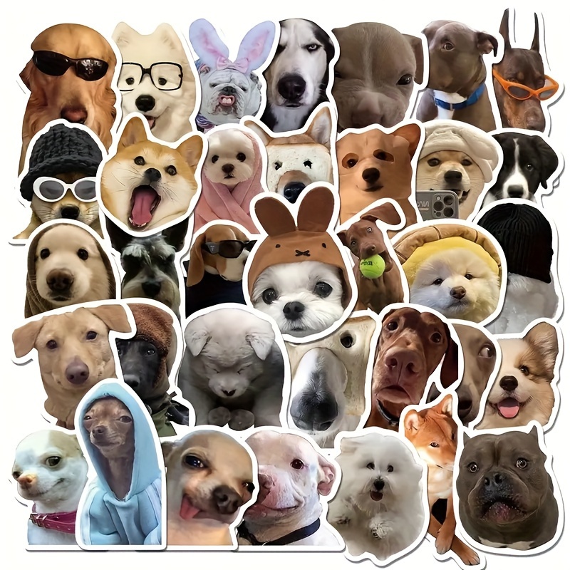 Cute White Dog Stickers Glasses Dog Pastoral Dog Cool - Temu