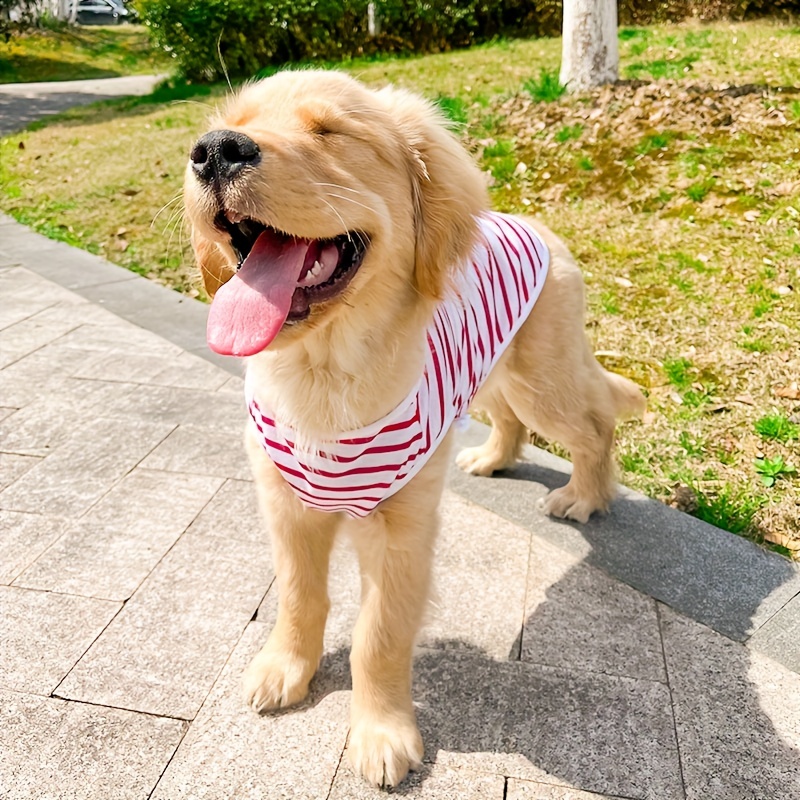 Large Dog Spring And Autumn Thin Pet Sweater Big Dog Golden