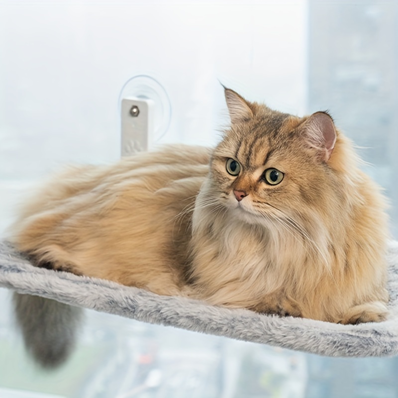 Cat Hammock Cat Bed Detachable Foldable Balcony Window Cat - Temu