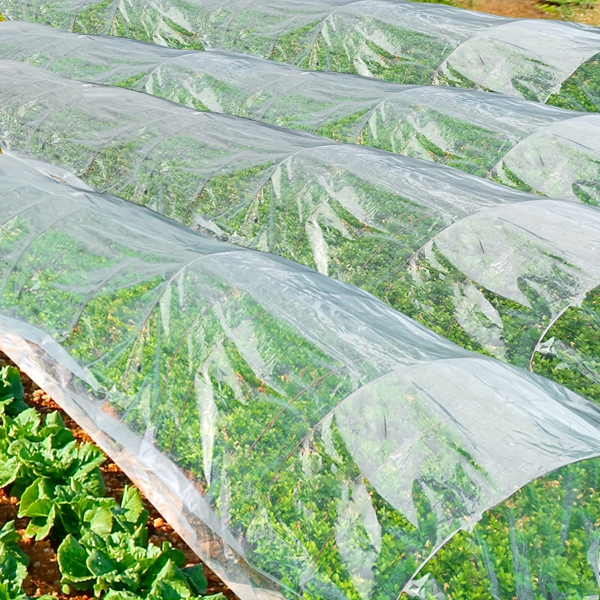 Plastico para invernadero transparente calibre 8 - ProAqua México