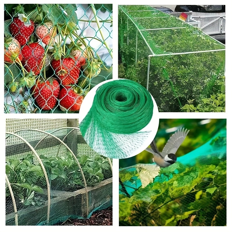 Bird Protection Net Vegetable Grape Cherry Strawberry Fruit - Temu Canada