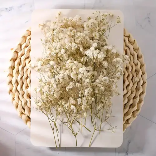 Dried Flowers 100% Natural Dried Flower Vanilla Soap Making - Temu