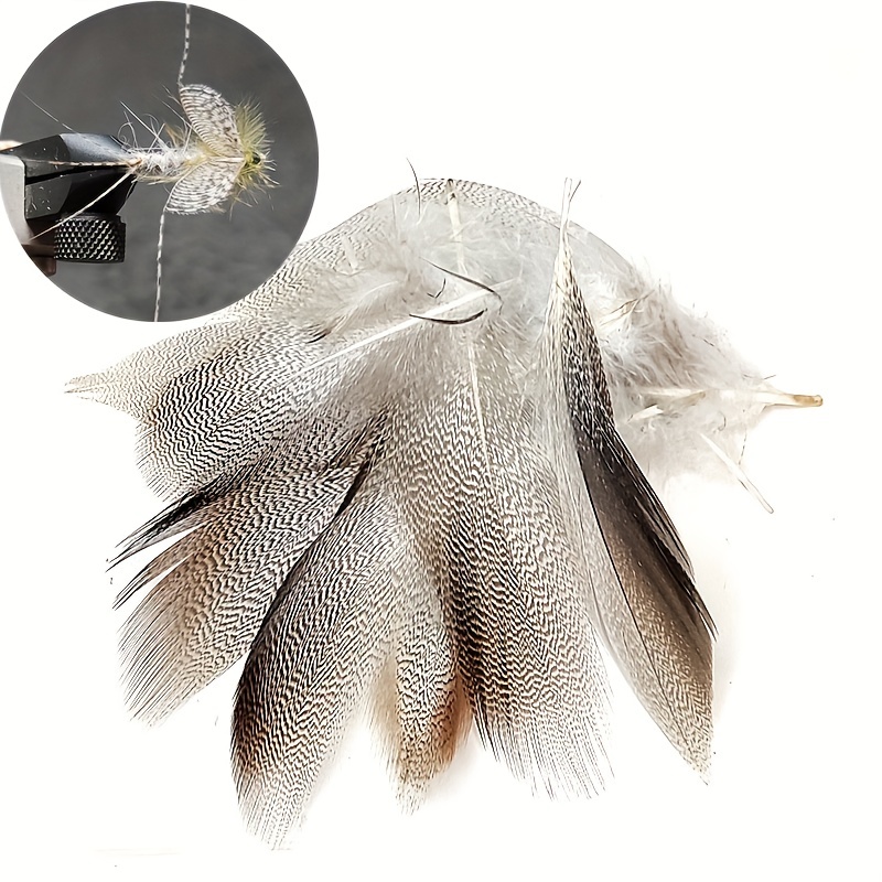 Best Value Fly Tying – HOOKS & FEATHERS