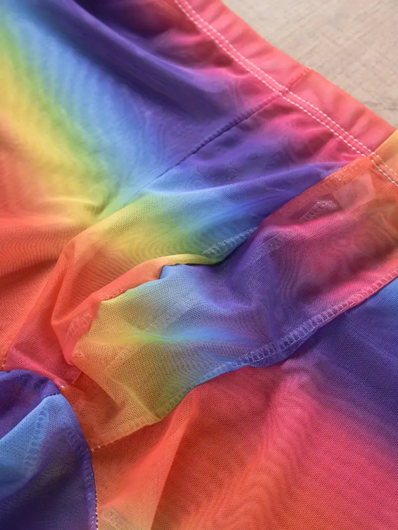 1pc Men's Rainbow Color Gradient Transparent Panties Underwear, Men's Mesh  Multi-color Gay Breathable Large Boxer Briefs For Summer