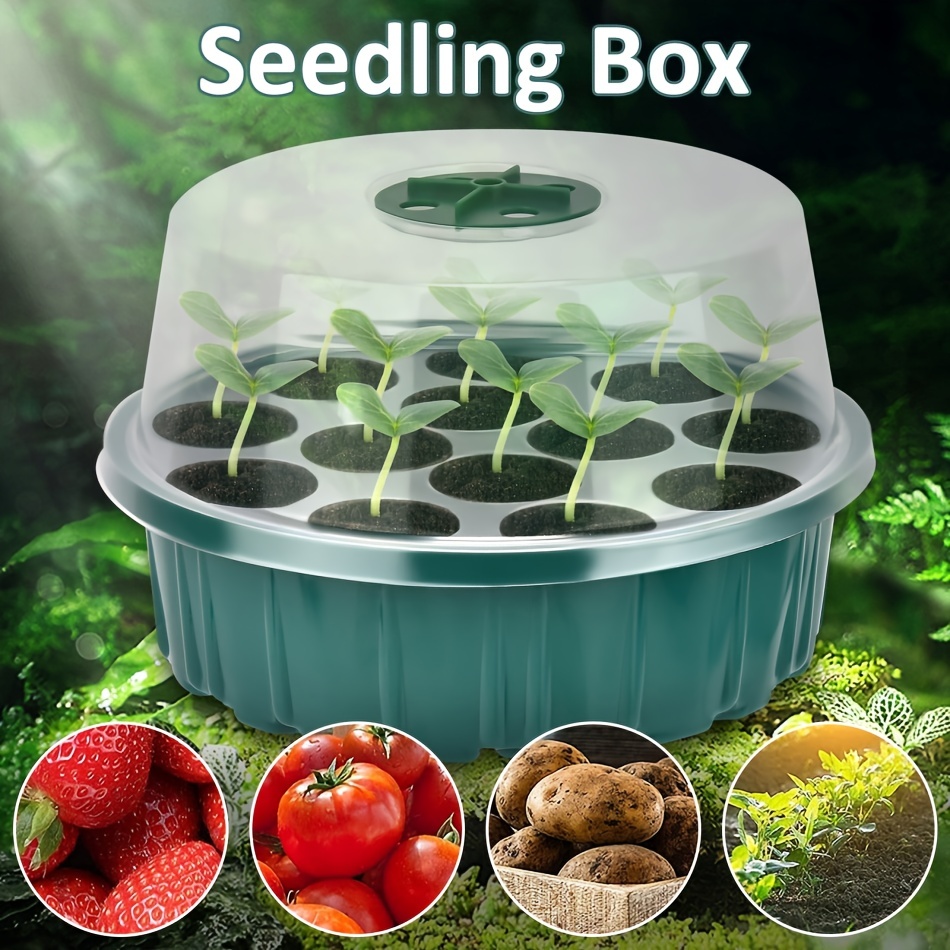 Green Seedling Trays Sprout Vegetable Trays Plastic Garden - Temu