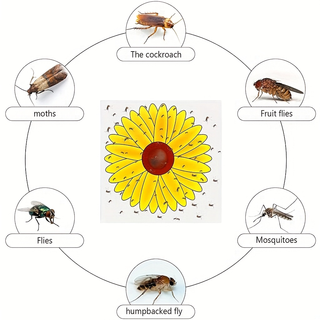 Window Fly Trap Sunflower Style Window Fly Trap Stickers Fly - Temu