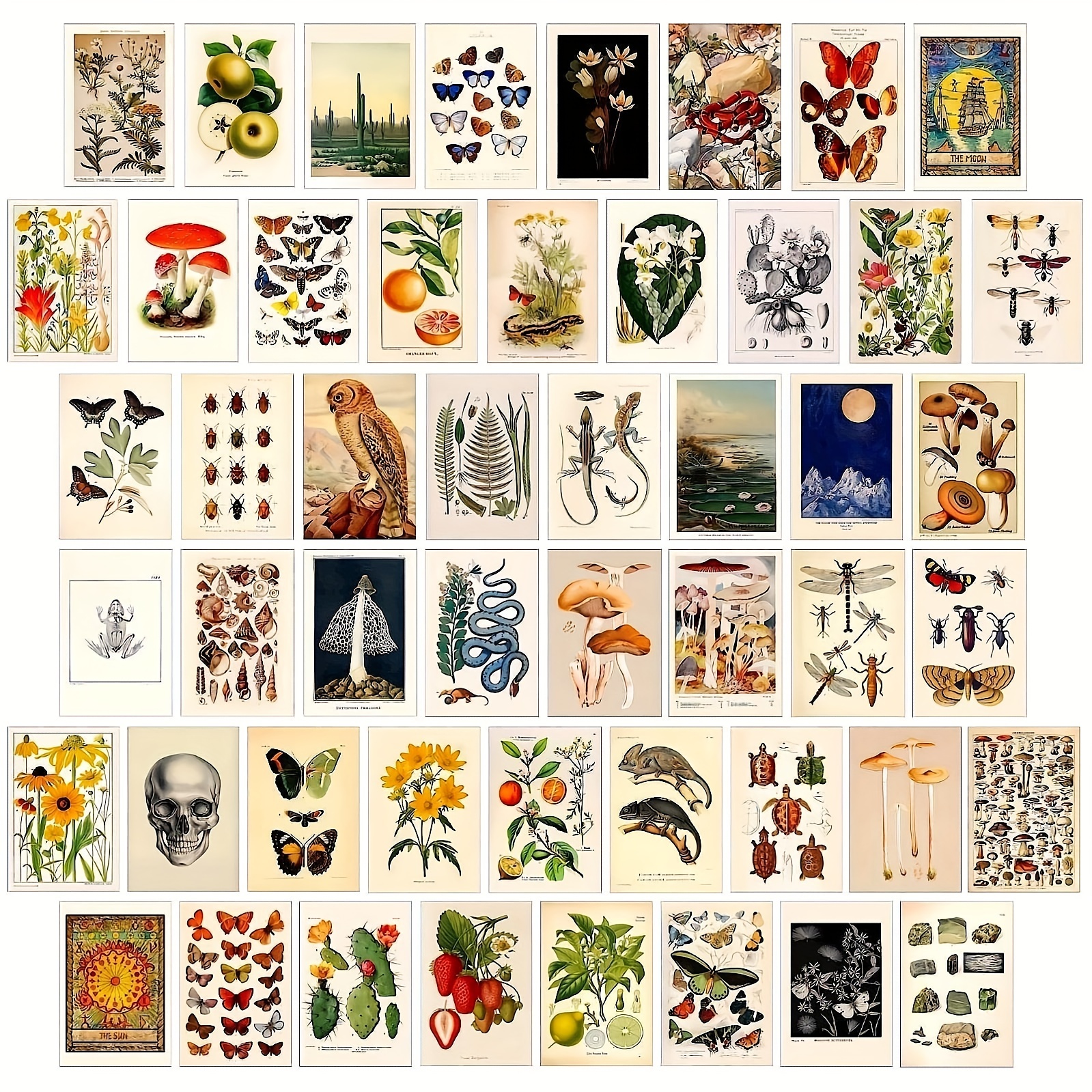 50 Stück Wandkunst Collage Kit, Indie Minimalist Style Ästhetische Bilder  Poster, Niedliche Foto Zimmer Dekor - Temu Austria