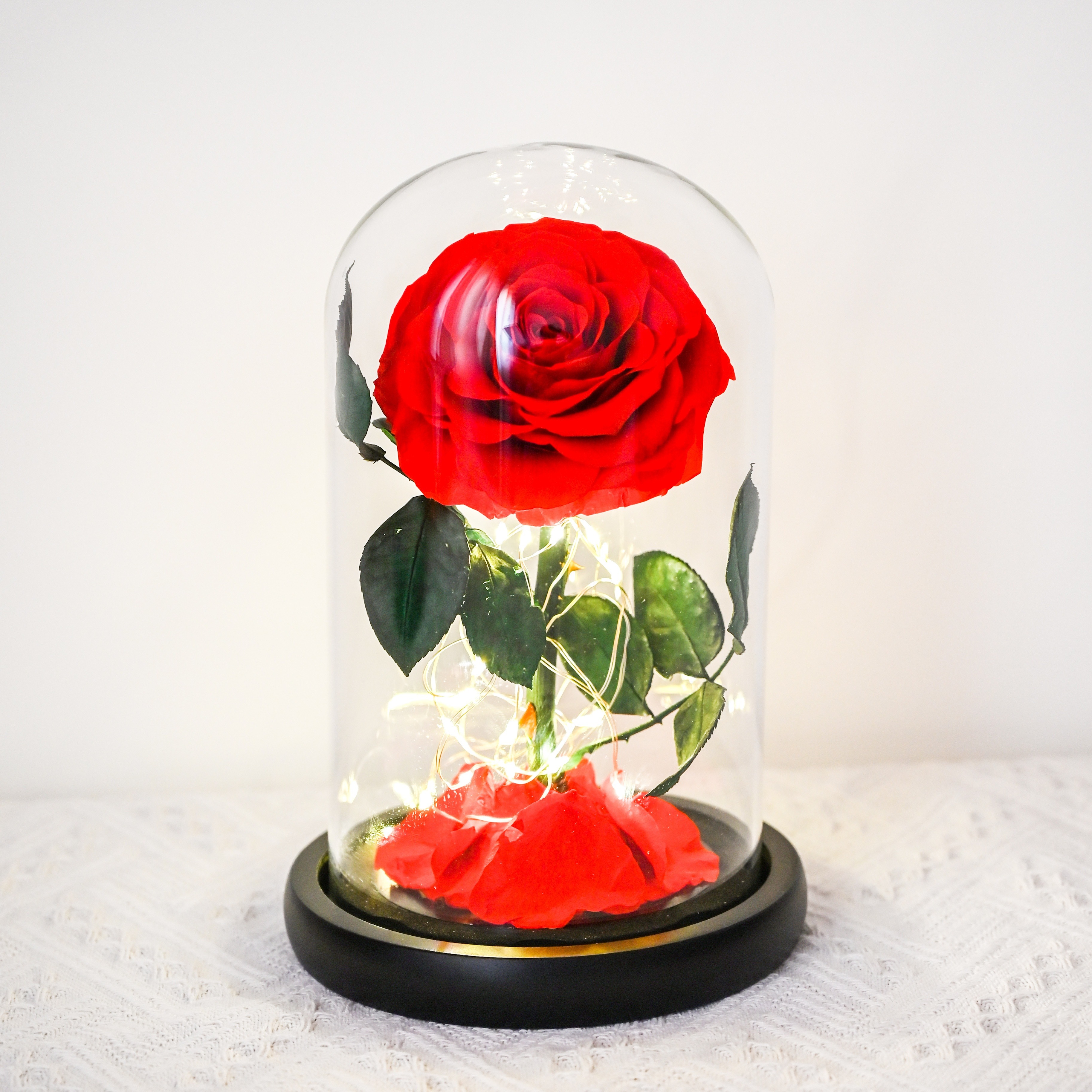 Beauty And The Beast Preserved Valentines Exclusive In Glass Dome