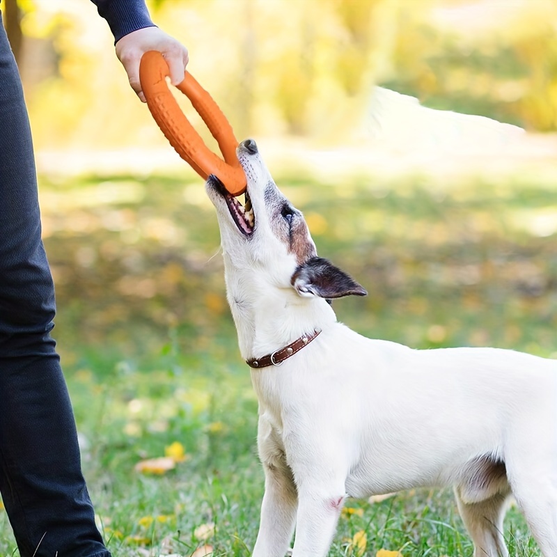 Juguetes entrenamiento perros hot sale