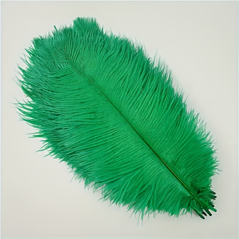 50pcs Ostrich Feathers For Decorations