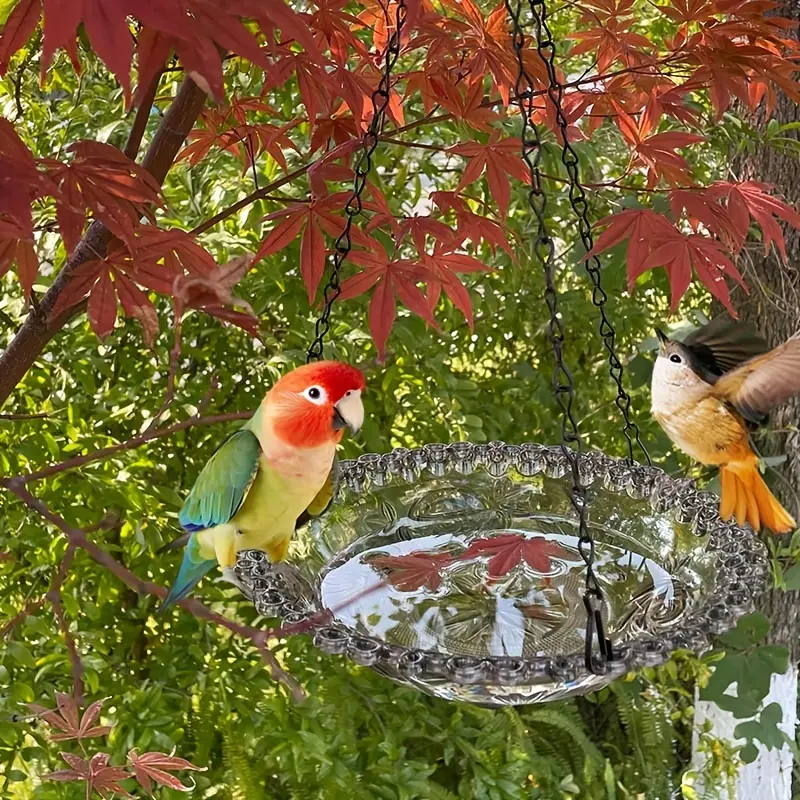 Bain d'oiseaux à suspendre en verre pour décoration de - Temu France