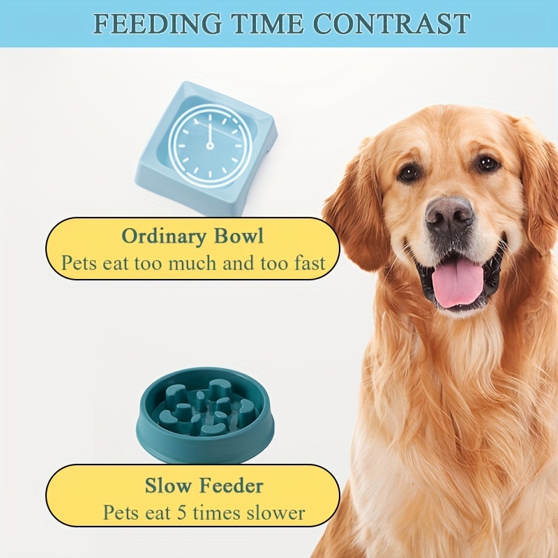 Anti-slip Slow Feeder Dog Bowl For Dogs And Cats - Prevents Choking And  Promotes Healthy Eating Habits - Temu