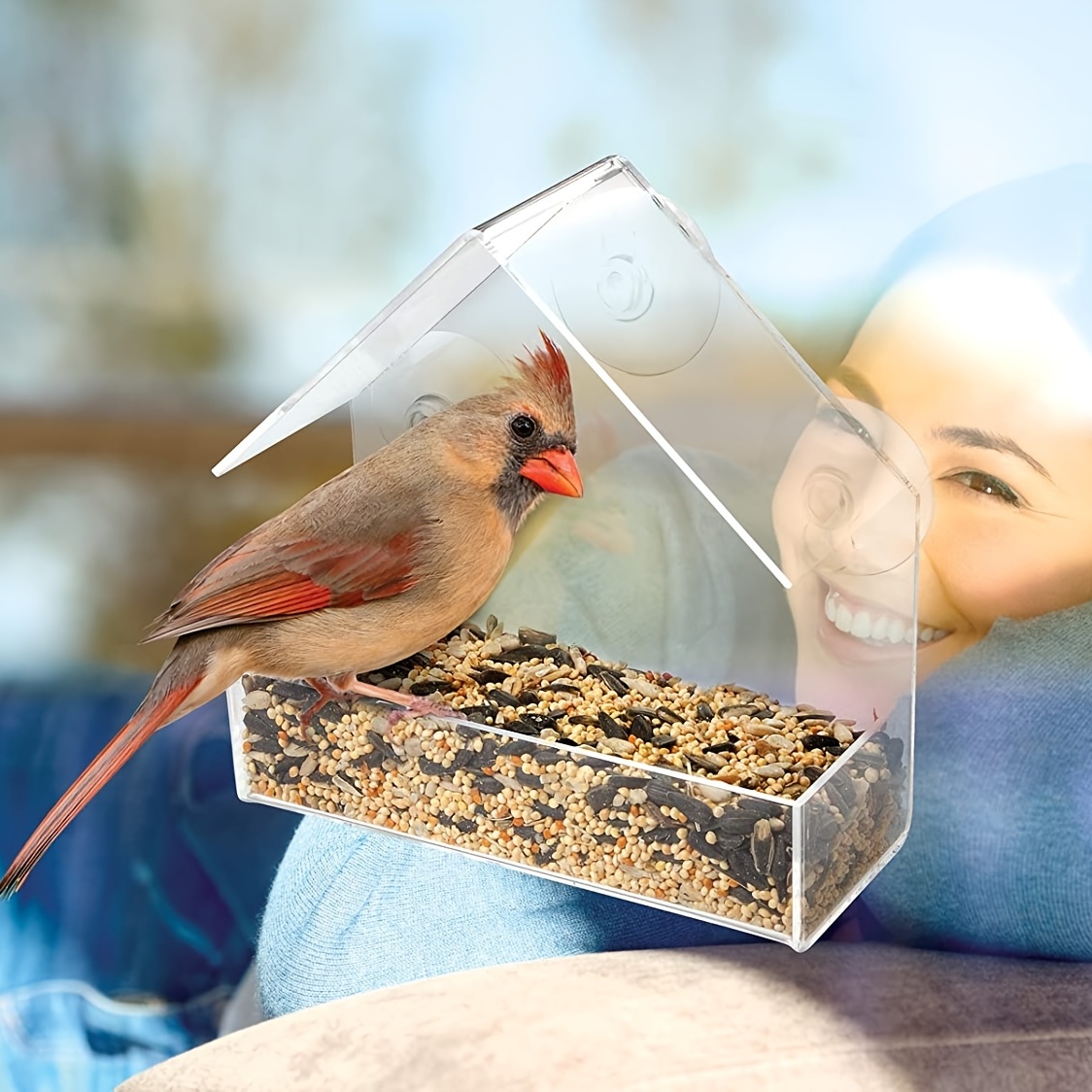 Mangeoire pour oiseaux avec porte-graines coulissant et 4