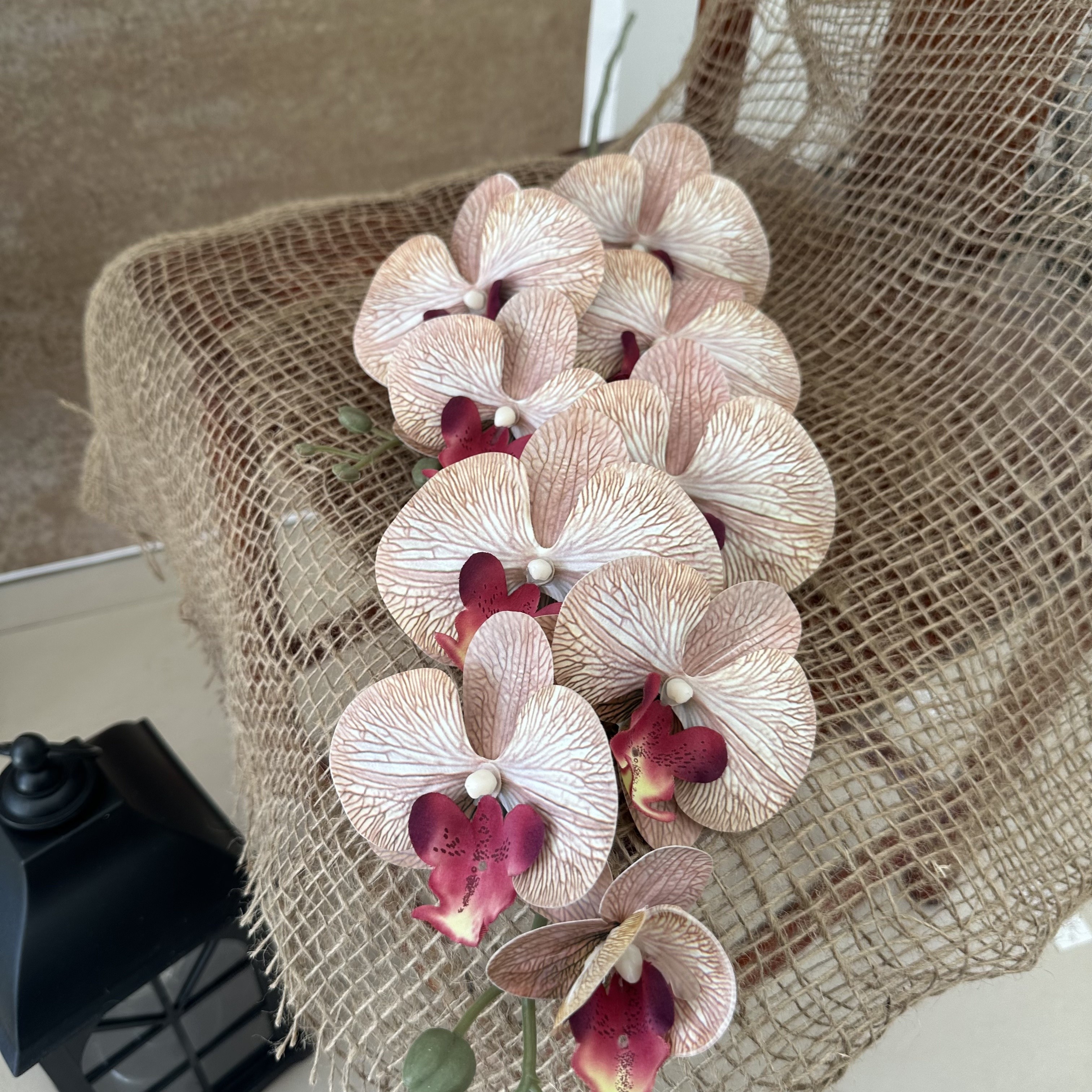 5 Pièces Orchidées Artificielles Fausses Fleurs En Soie, Fausses Orchidées  Dansantes Avec Longue Tige Pour La Maison, La Fête De Mariage, La  Décoration D'hôtel, Décoration Intérieure, Arrangement Floral, Décoration  De Salle De