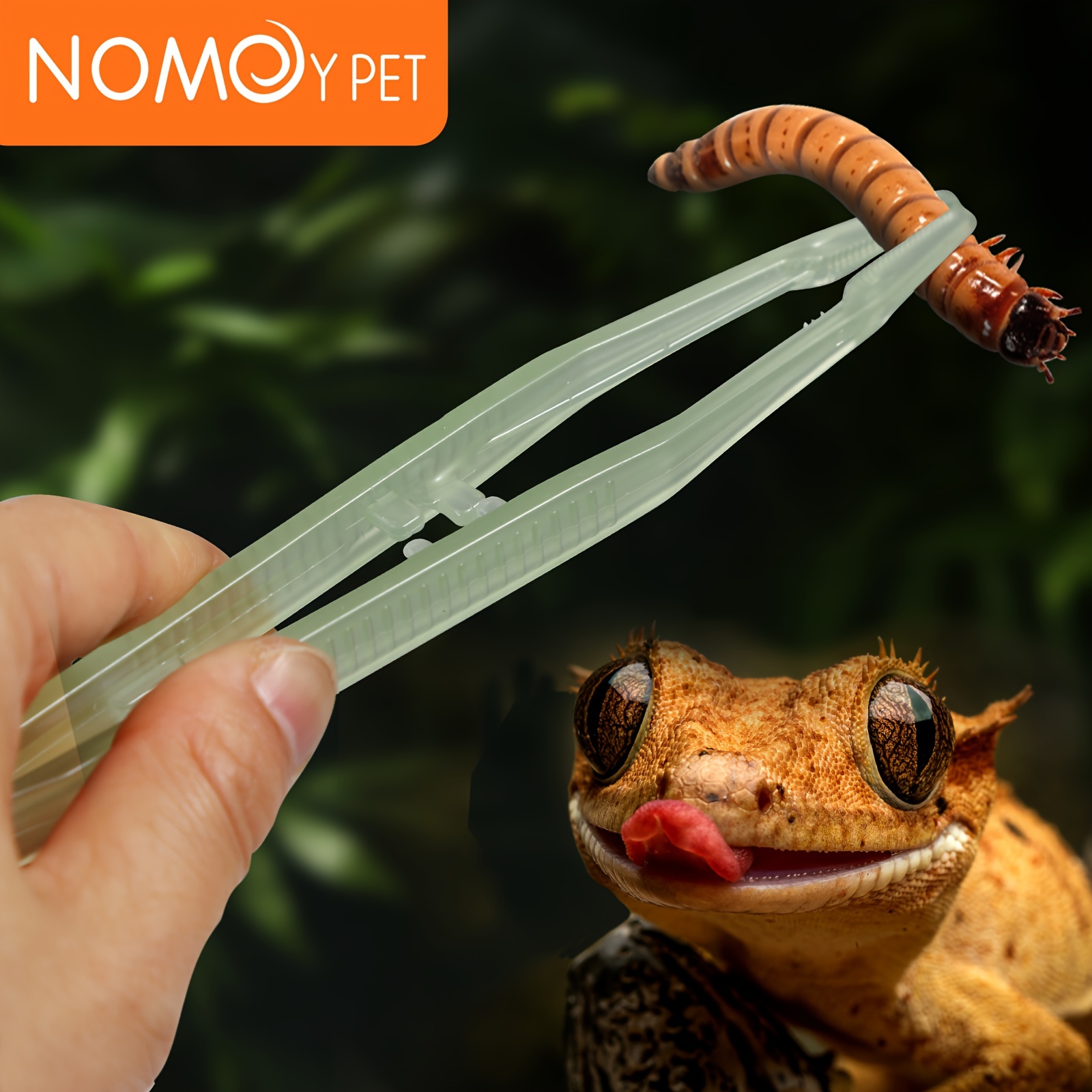11 Long Reptiles Tweezers Serving Tongs Eco-friendly Bamboo Curved  Tweezers for Snake Gecko Reptile Feeding Tongs 