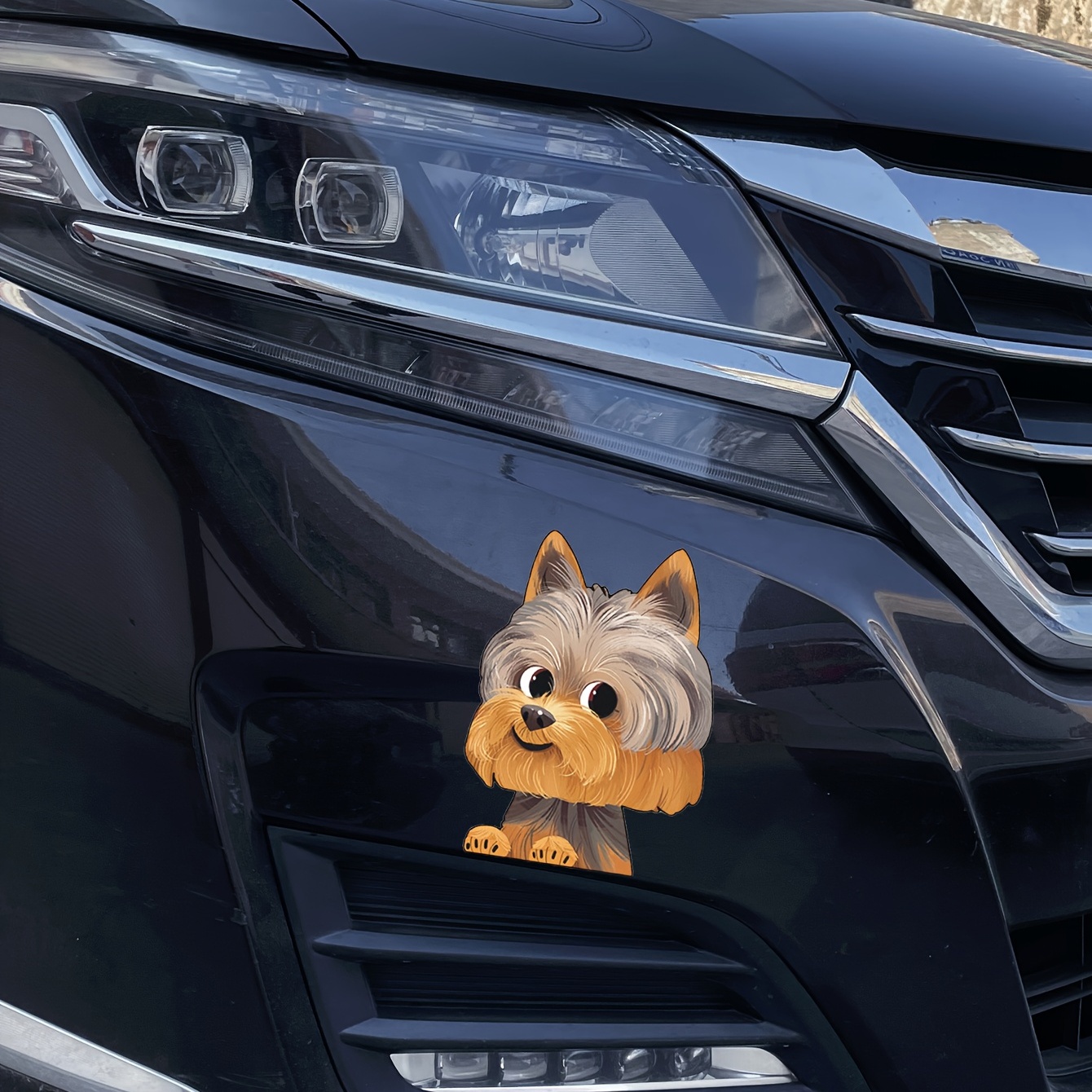 Shopping Hund Crack Car Aufkleber Lustiges Tier Wallpaper Fenster Aufkleber  Haustier Aufkleber - Stil F in China