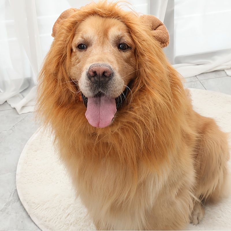 Cute Lion Dog Hair Clip Pet Hair Extension Fake Hair Pet Supply Cat Dog  Hairdressing Products - Pet Supplies - Temu
