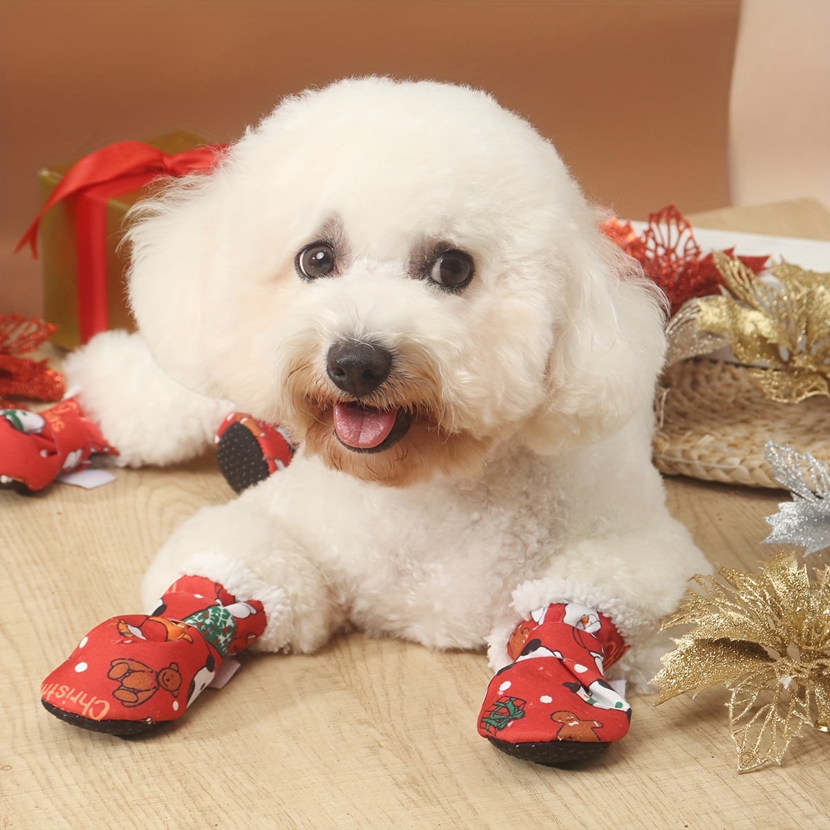 Bichon slippers store