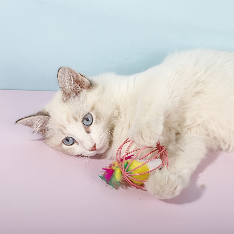 wire cat balls