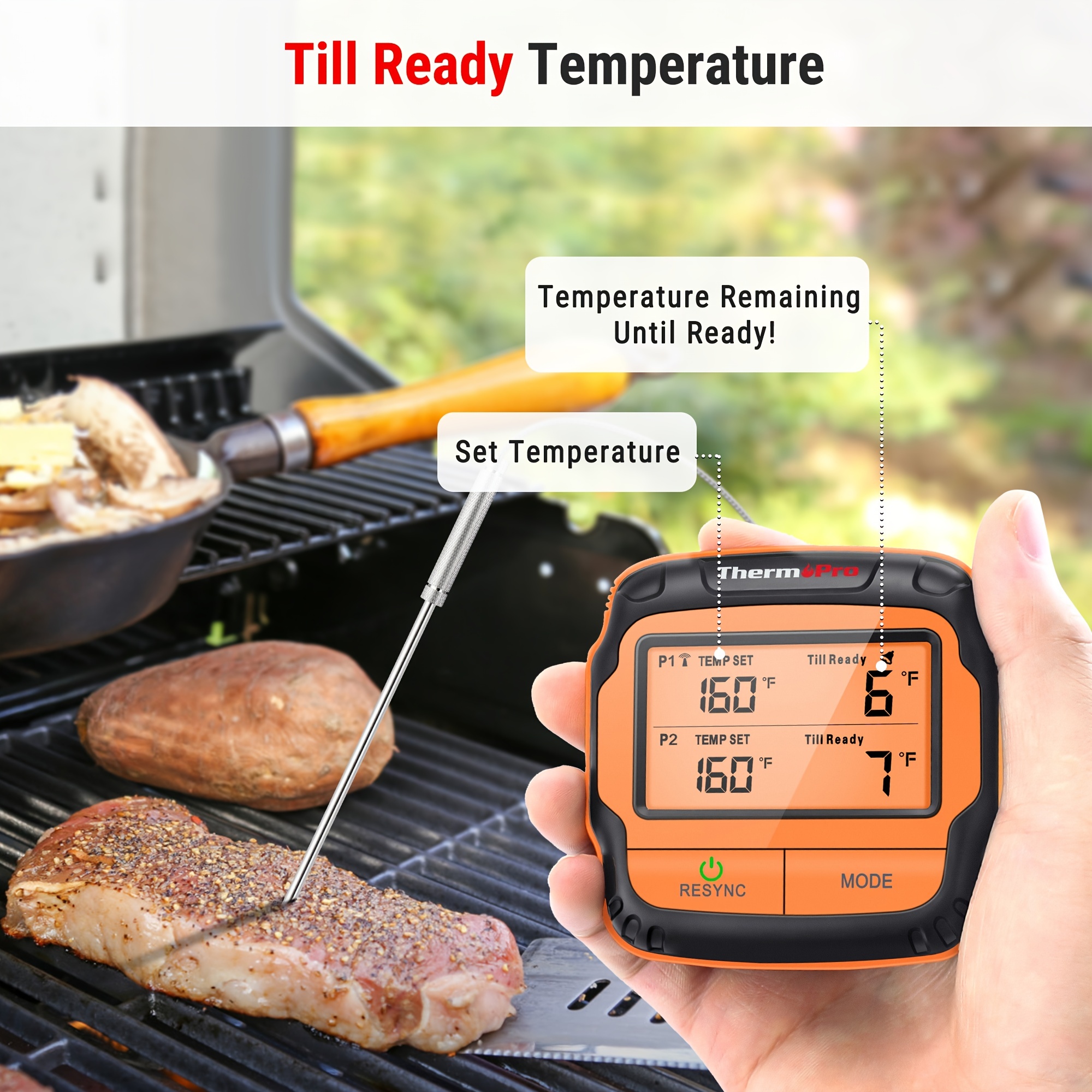 The Ultimate Bbq Thermometer: Tp610 Programmable Dual Probe Meat
