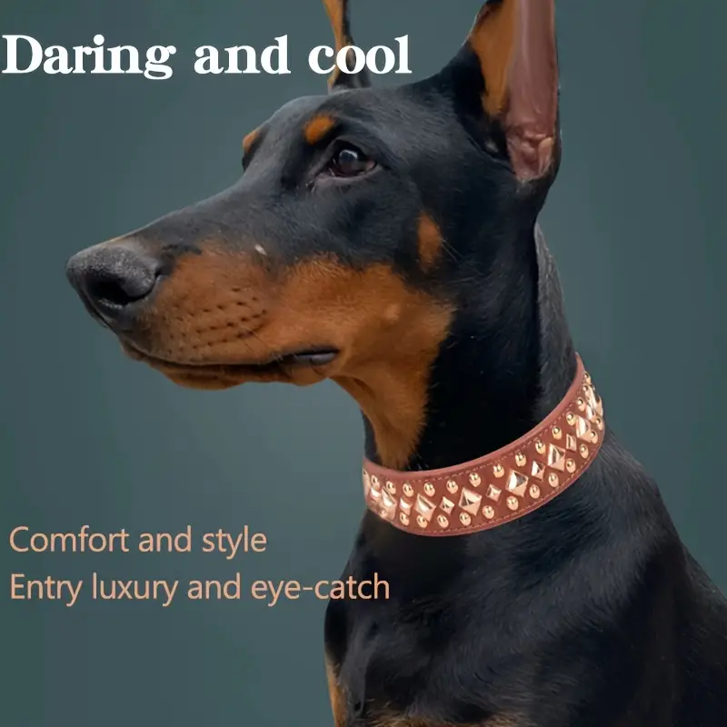 Sy Leather Dog Collar Stylish