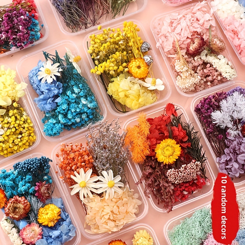 6pcs Mini Dried Flowers For Crafts, Dried Flowers With Stems For Crafts  Bulk, Wildflower Party Decor For DIY Photo Props Gift