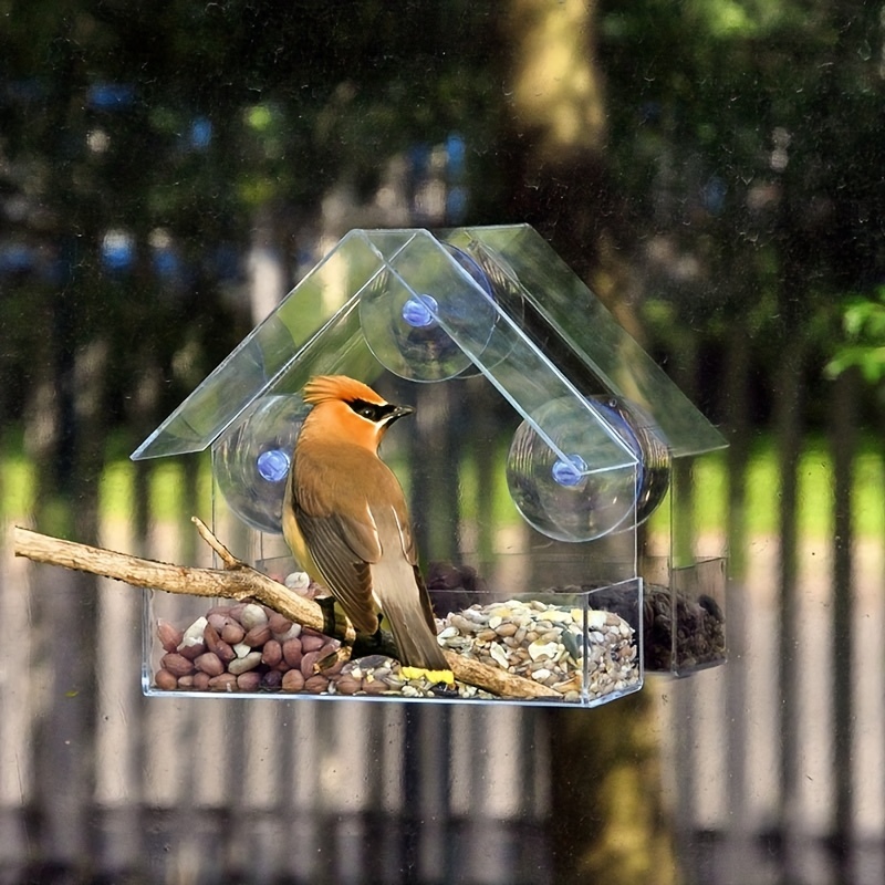 Mangeoire à oiseaux de fenêtre avec ventouses extra puissantes