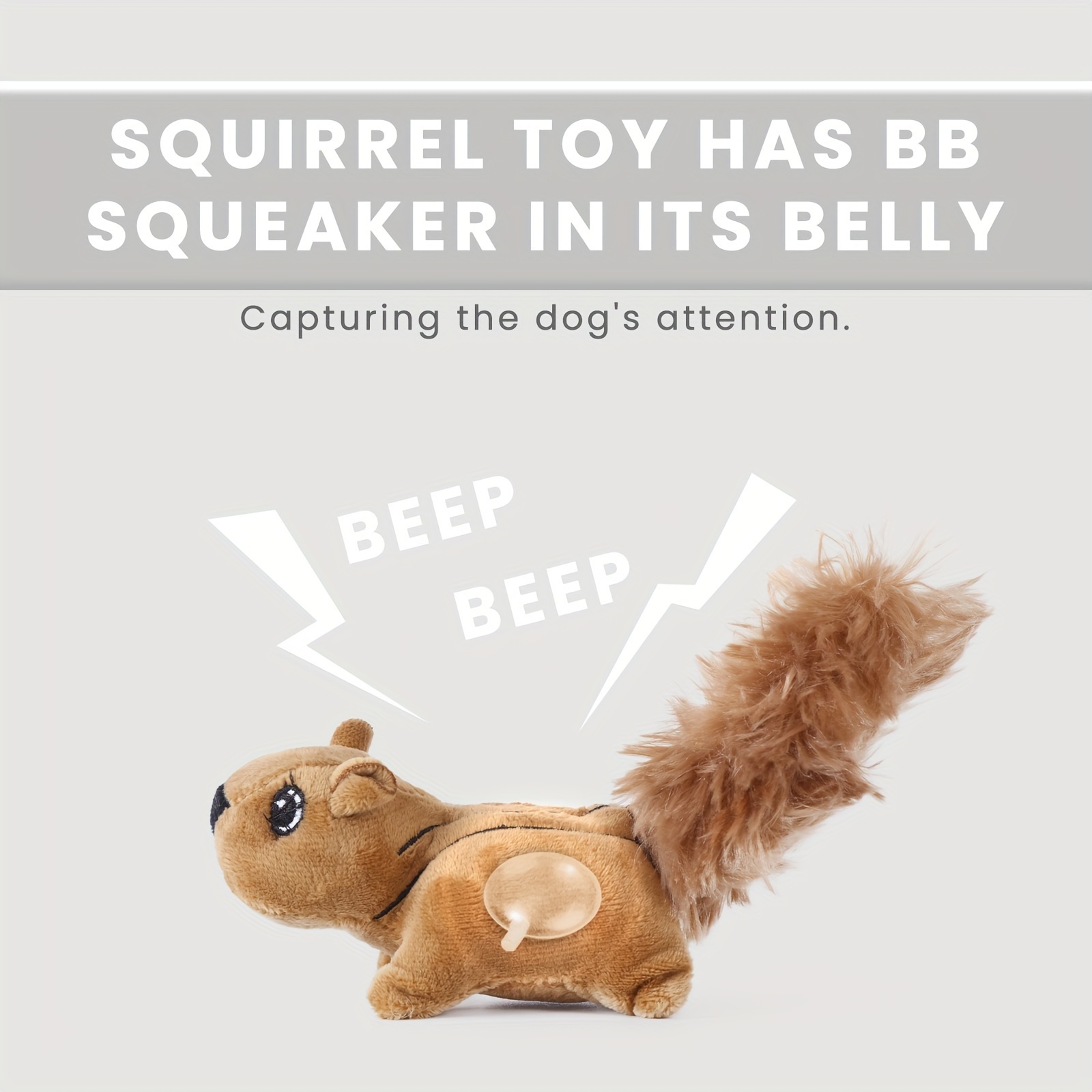Squirrel with Squeaker