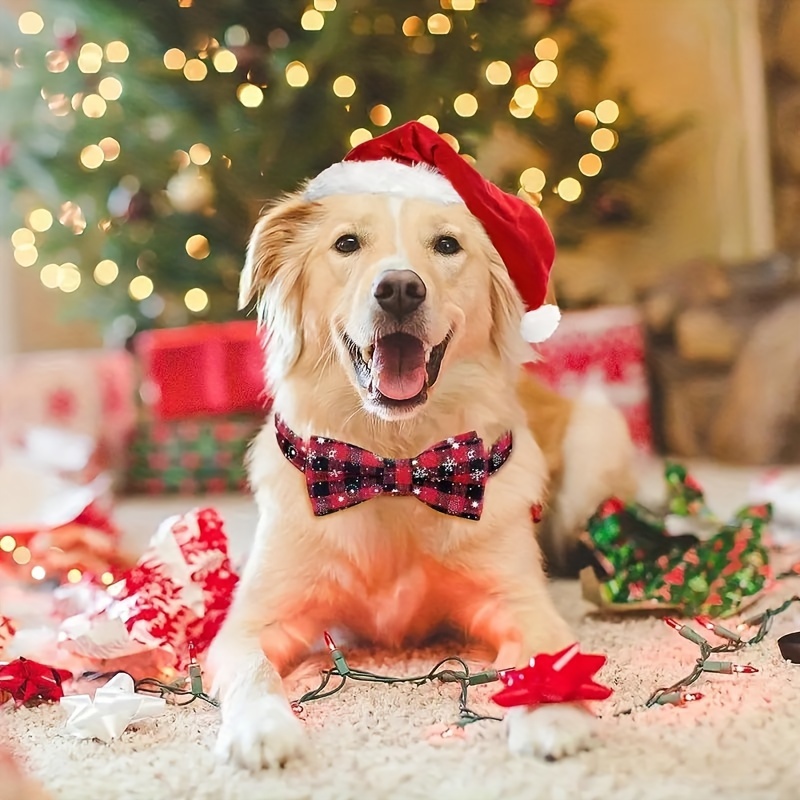 Christmas dog collar shop with bow tie