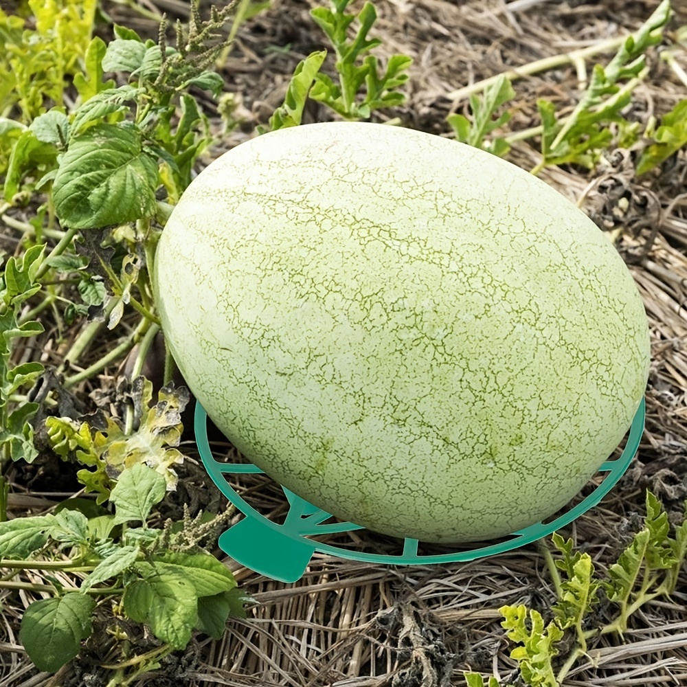 2pcs Gardening Melons Plant Supports Gardening Fruit Watermelon Supports Tray With Sturdy Leg Keeping Plant For Keeping Fruit Elevated To Avoid Ground Rot