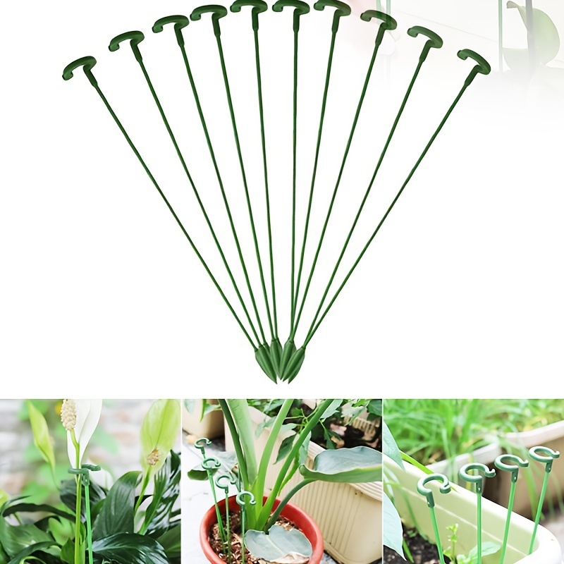 10pcs Poteau De Support De Plante À Tige Unique Fixe Anti Logement Support  Spécial Maison Jardinage Plante En Pot Forme De Fleur Tige De Support  Plantes Salon Décor - Temu France