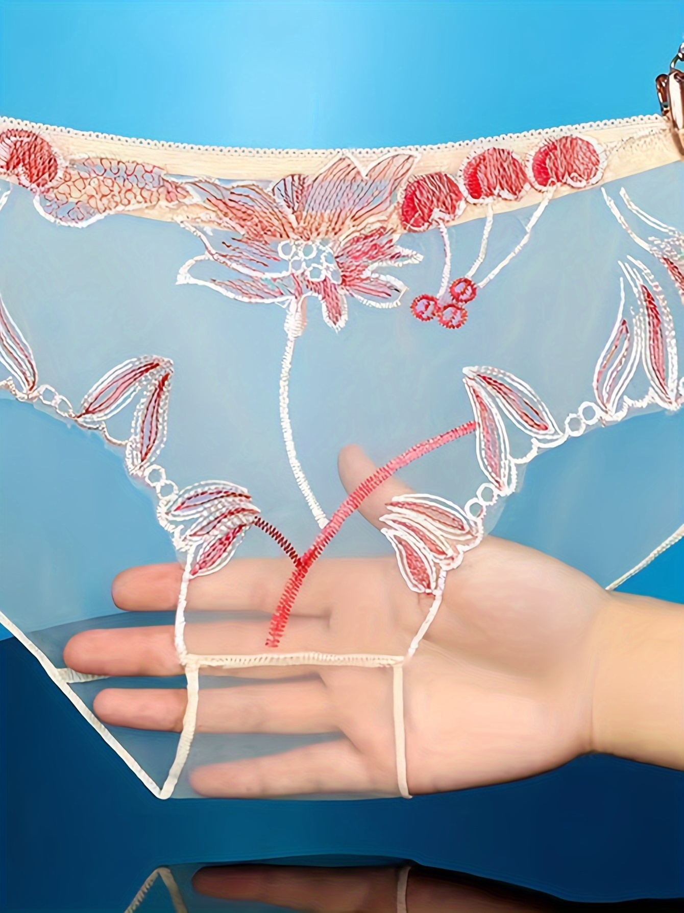 4pcs Women Sexy Underwear See Through Lingerie Lace Mesh Briefs