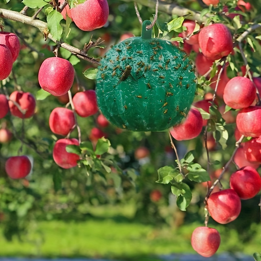 REKVEN - Petits Piège à Insectes Autocollants, Paquet de 30, pour Mouches à  Fruits, Moucheron Fongique et Autres Insectes Volants : : Jardin