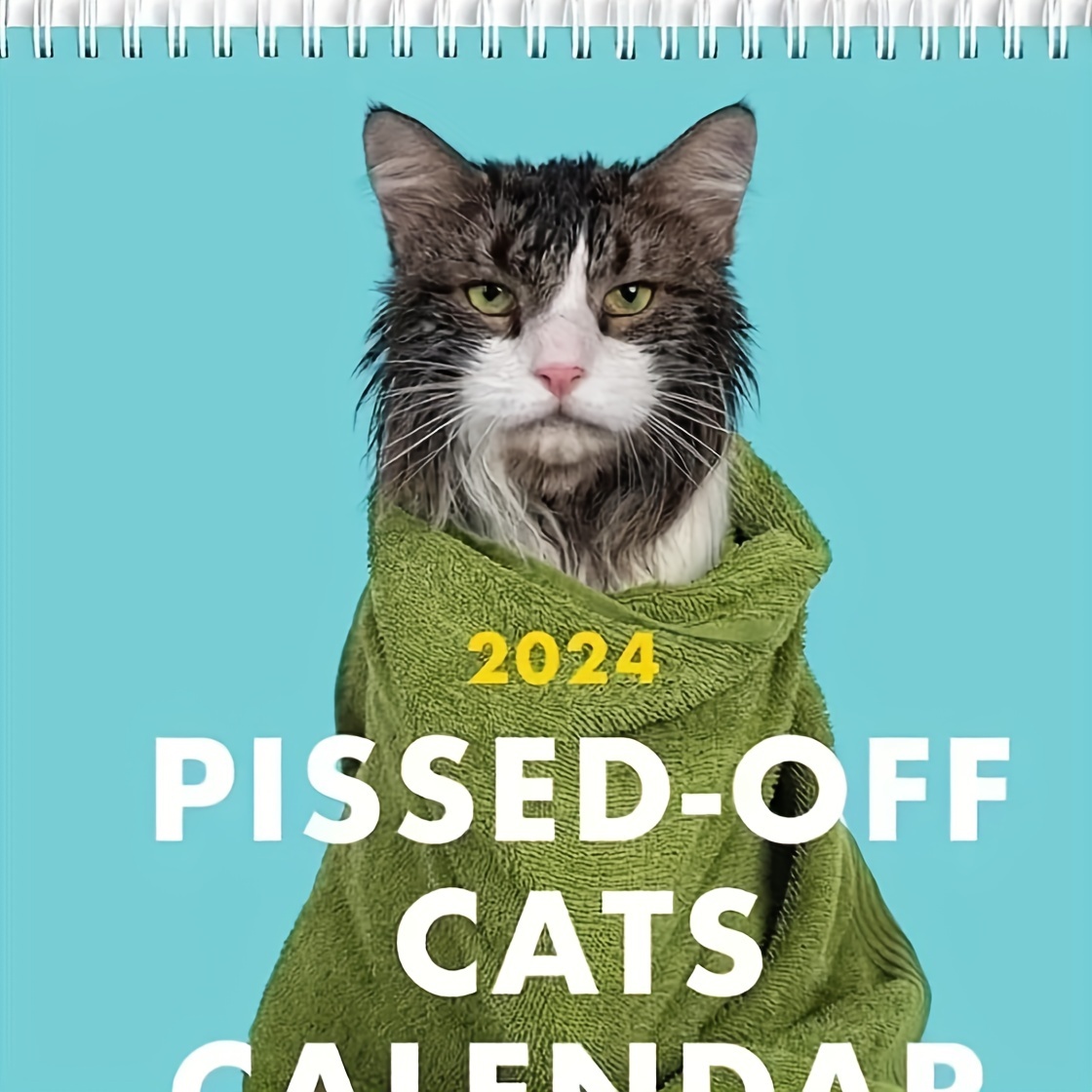 A Year of Snarky Cats 2024 Wall Calendar Planner Calendar From Jan. to Dec.